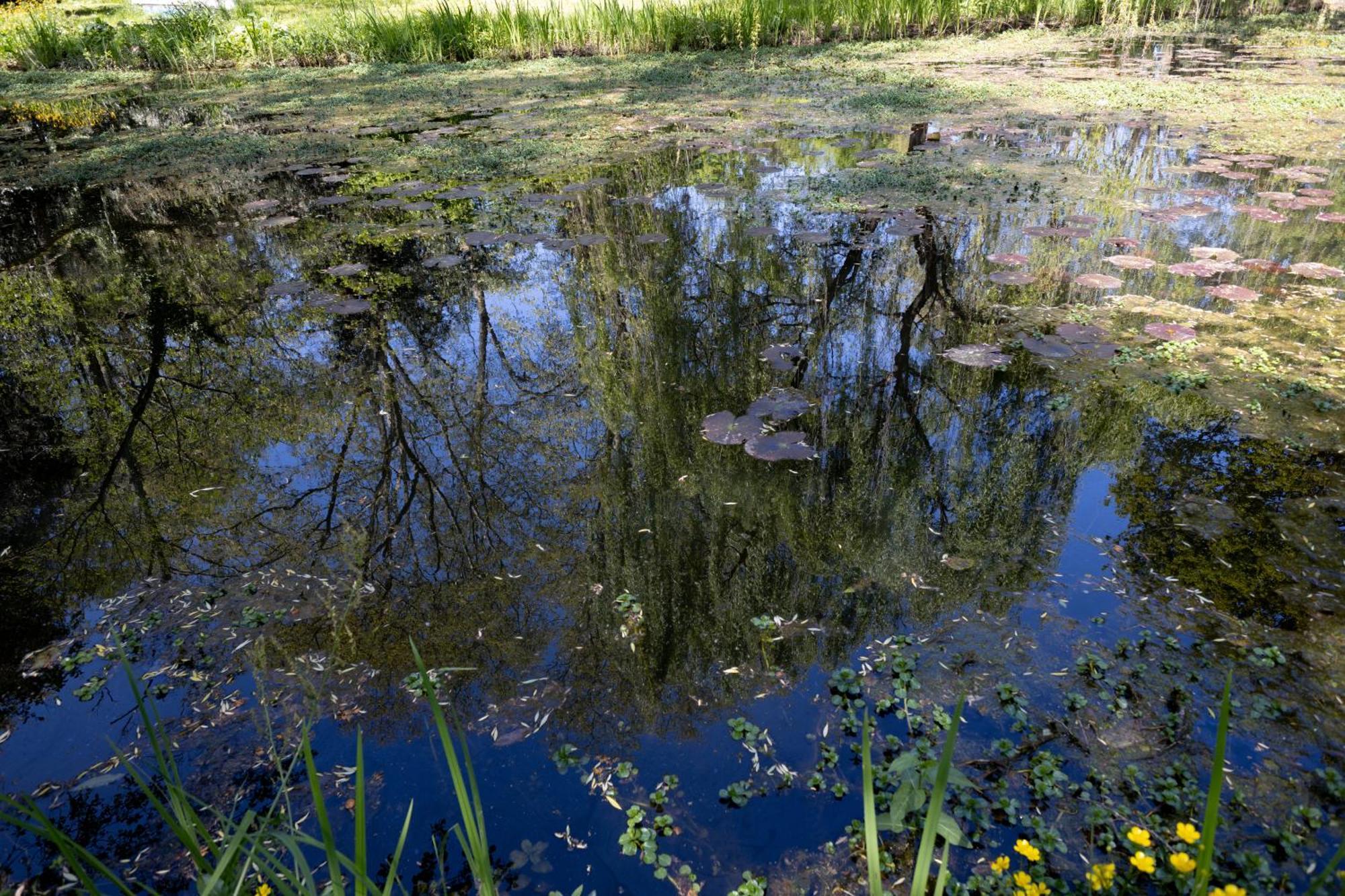 Il Casale Di Villa Rossi Lucca Eksteriør billede